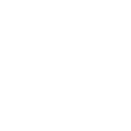 Iconw Performance